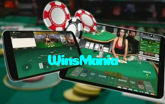 available types of WinsMania bet including pre-match live express and system bets